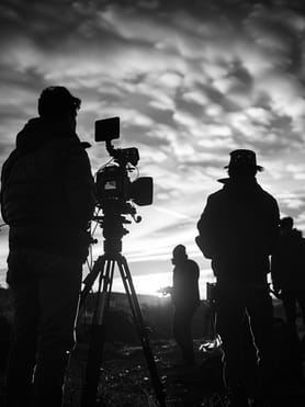 The Director