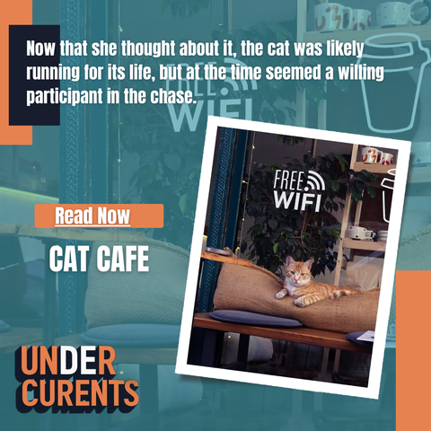CAT CAFE
