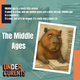 The Middle Ages ...