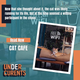 CAT CAFE